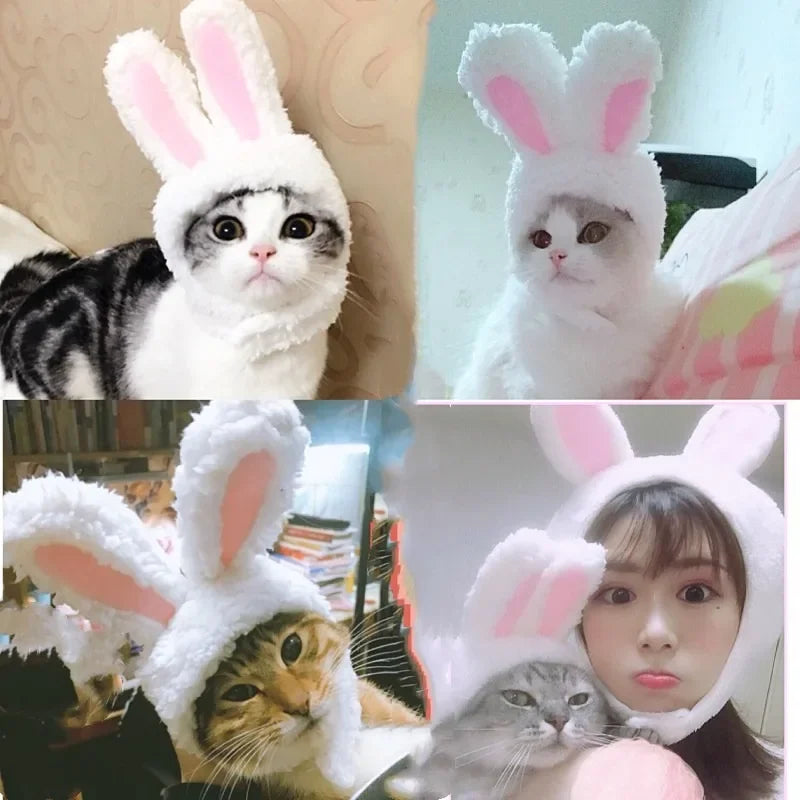 BunnyWhiskers Cozy Cat Hat