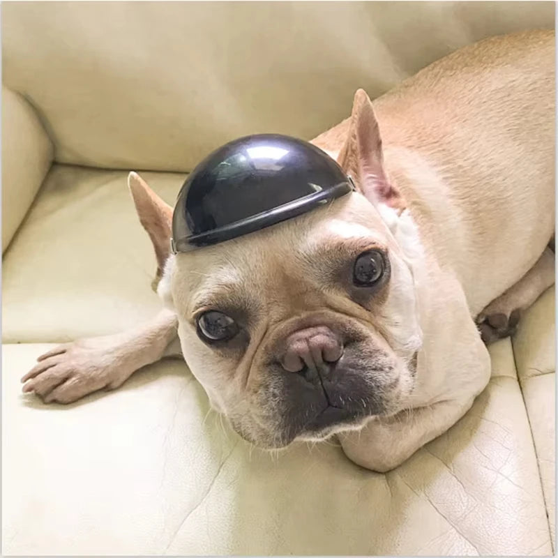 PawGear Moto Pup Helmet & Shades Set