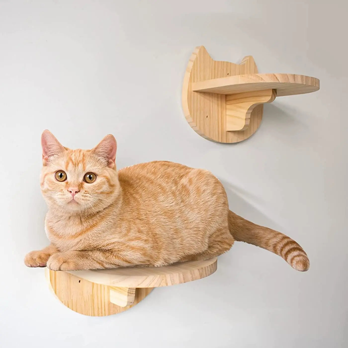 KittyKingdom - Modular Cat Wall System