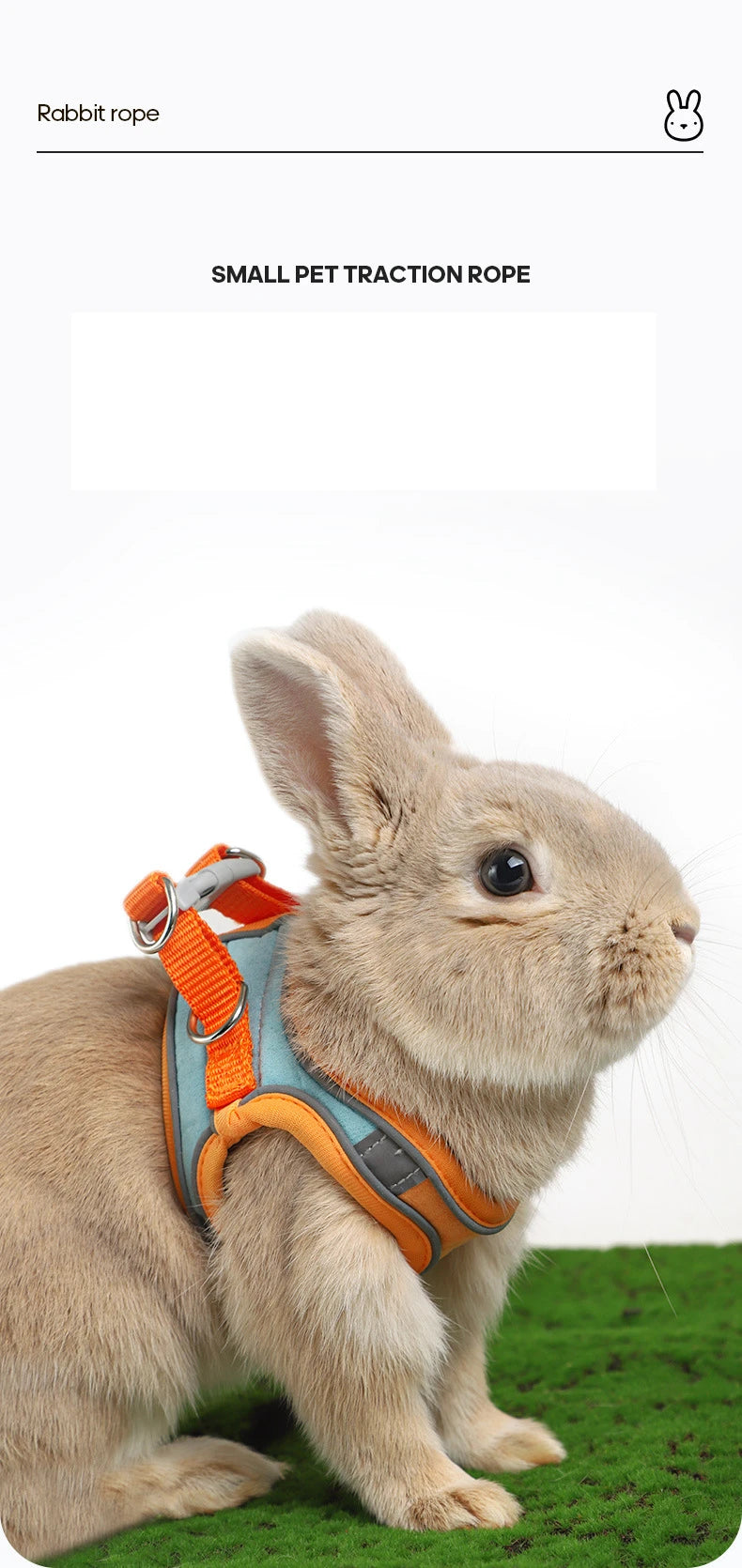 BunnyTrek Adventure Harness Set