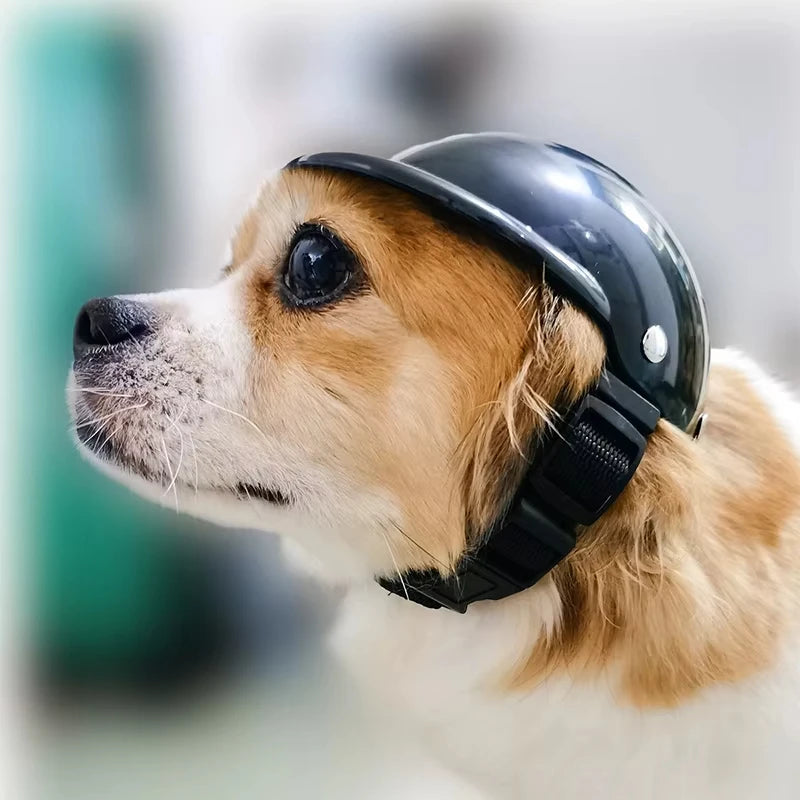 PawGear Moto Pup Helmet & Shades Set