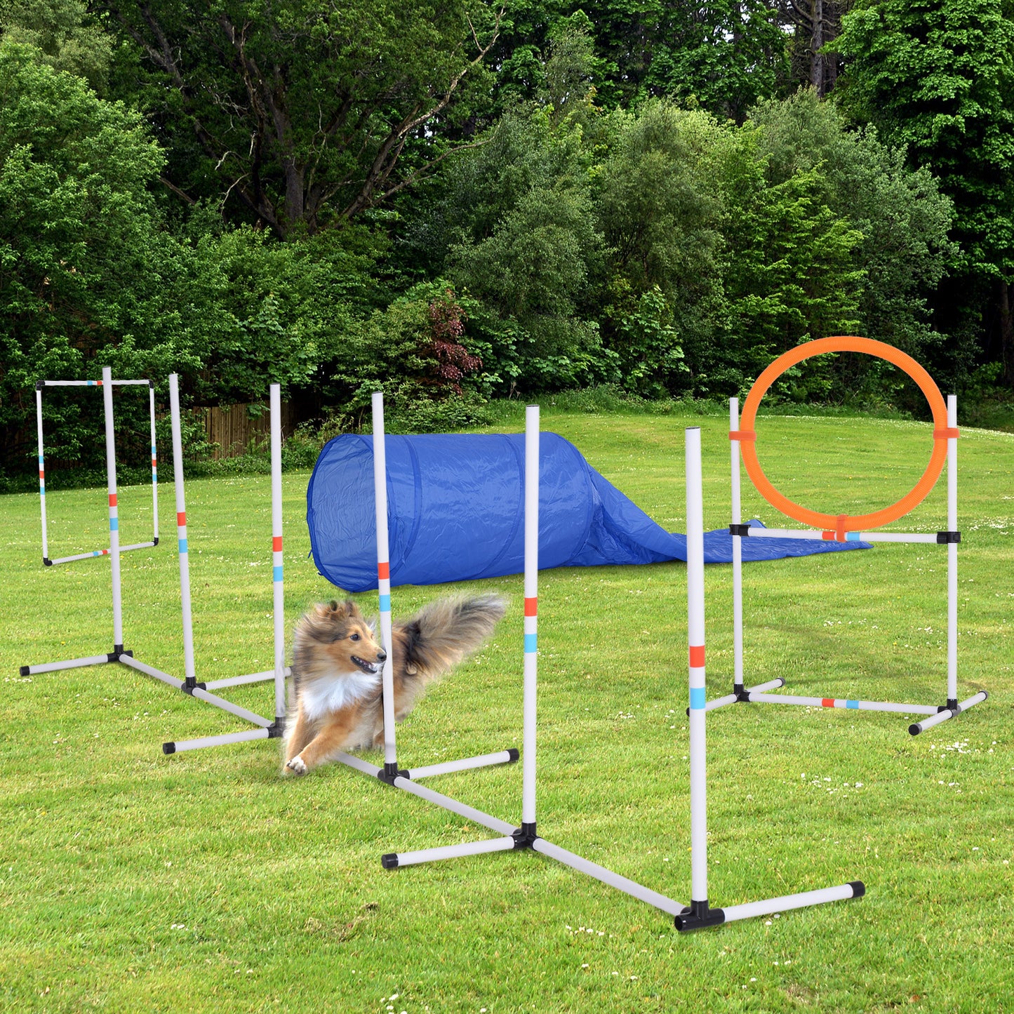 Zoom & Woof™ 5-in-1 Agility Adventure Set