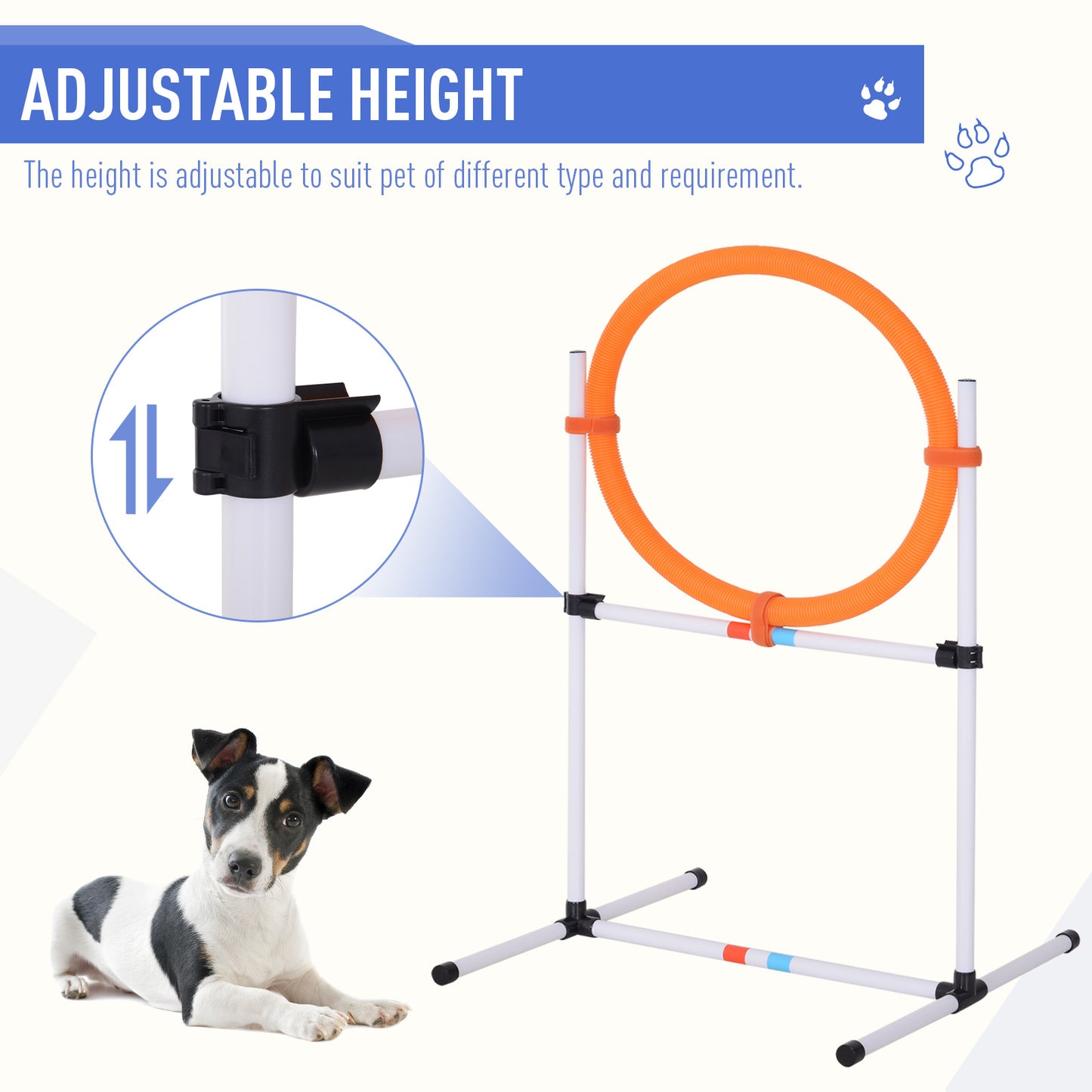 Zoom & Woof™ 5-in-1 Agility Adventure Set