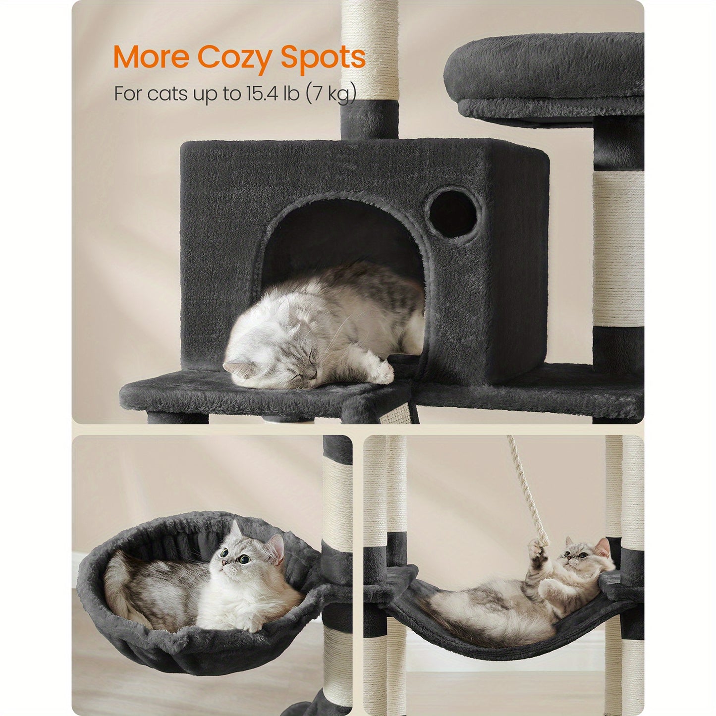 The Purrfect Palace