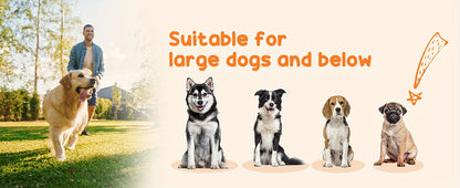 K9 Kastle Elite Outdoor Kennel