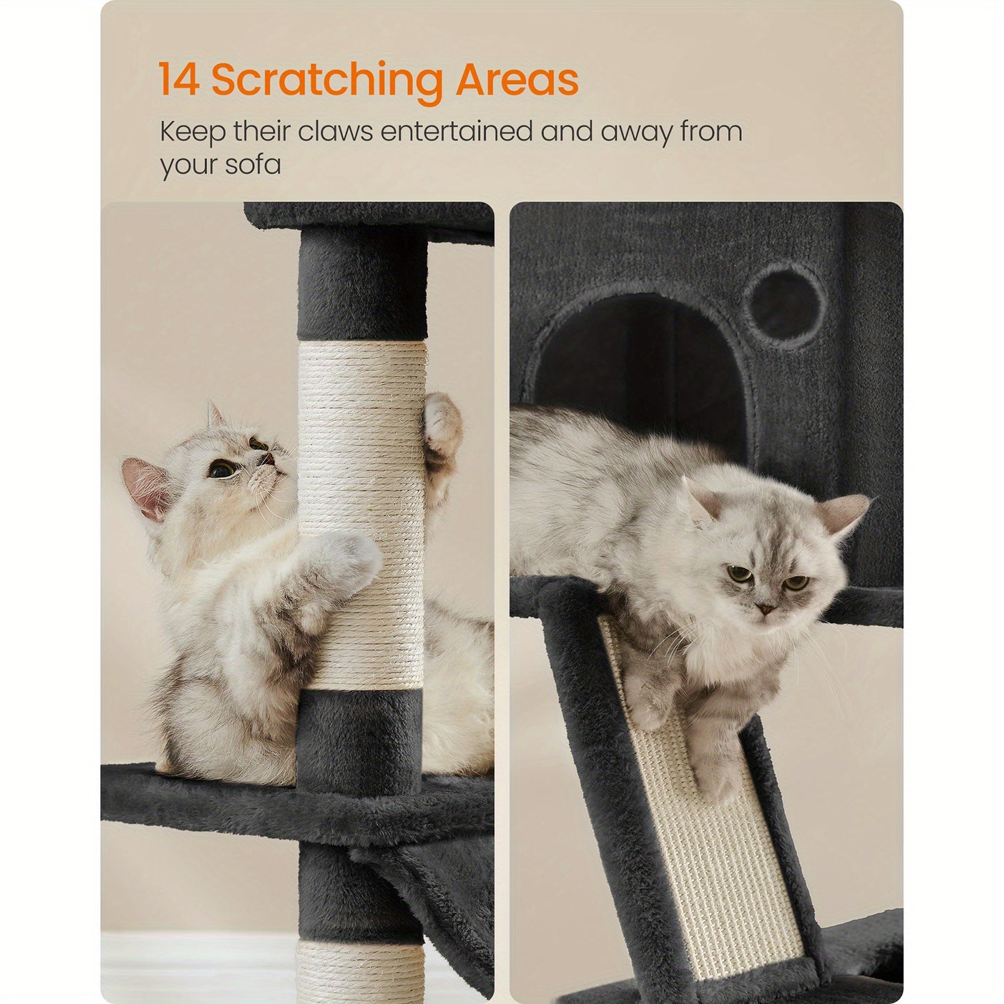 The Purrfect Palace
