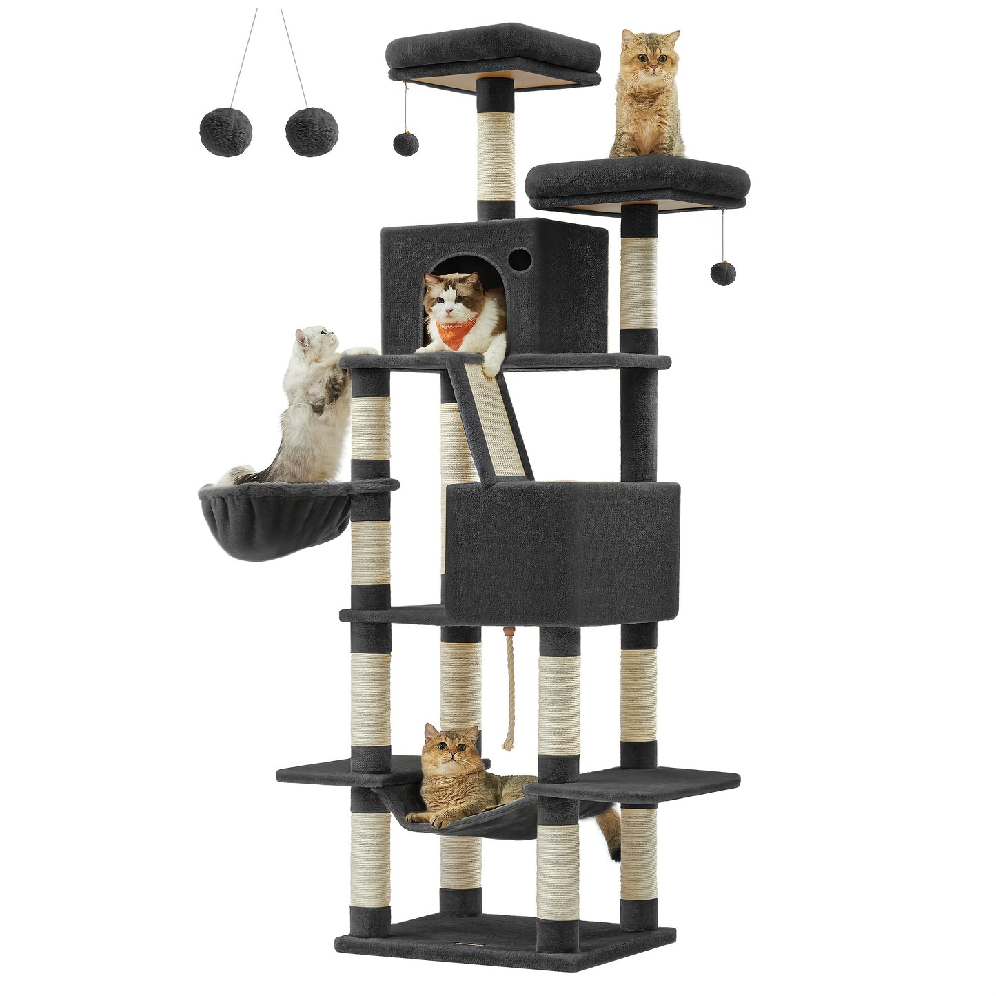 The Purrfect Palace