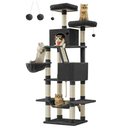 The Purrfect Palace