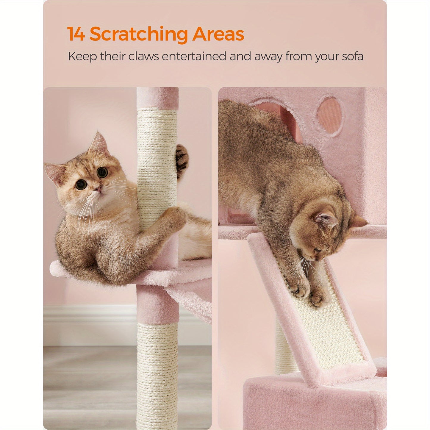 The Purrfect Palace