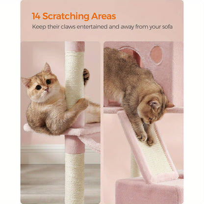 The Purrfect Palace