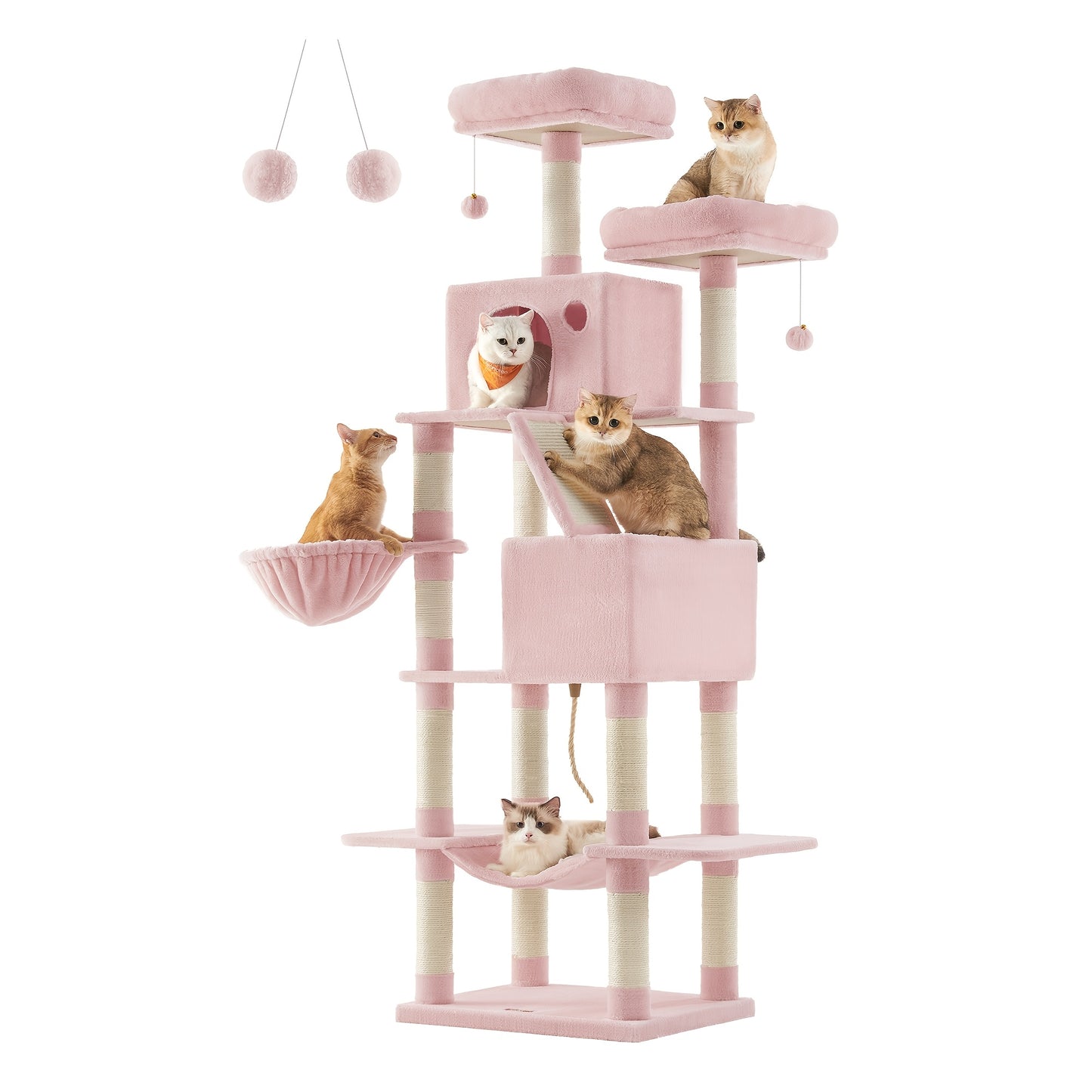 The Purrfect Palace