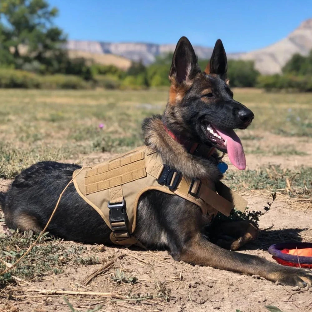 K9 Command Pro Set
