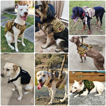 K9 Command Pro Set