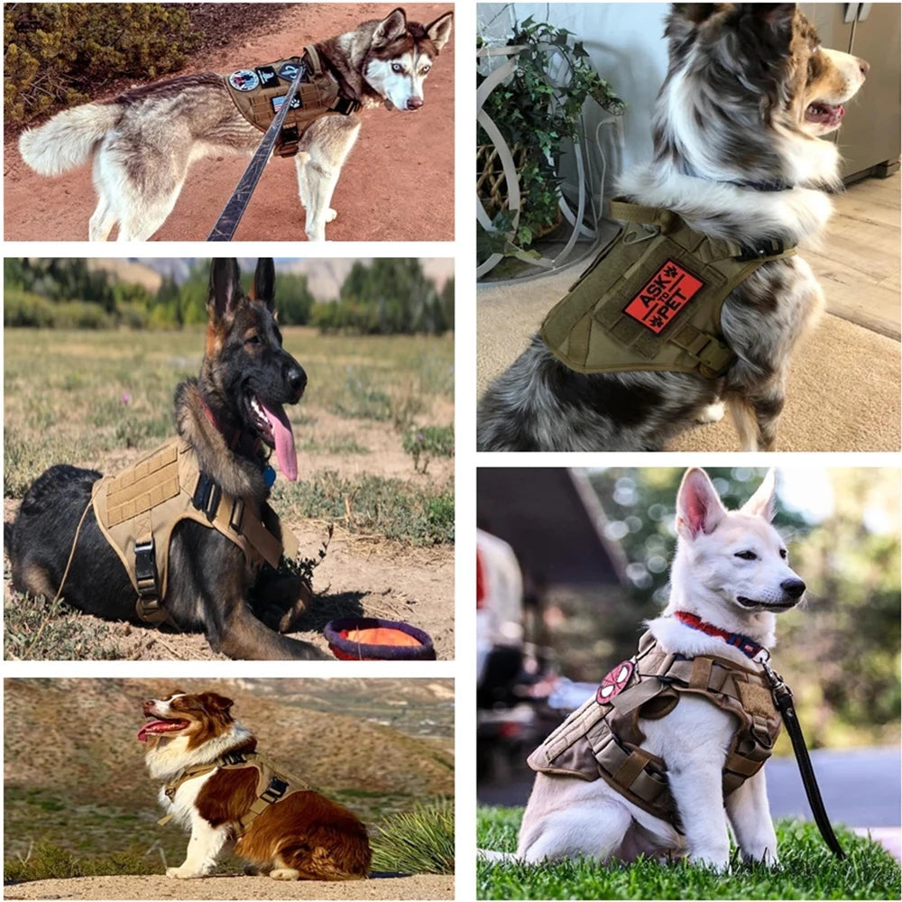 K9 Command Pro Set