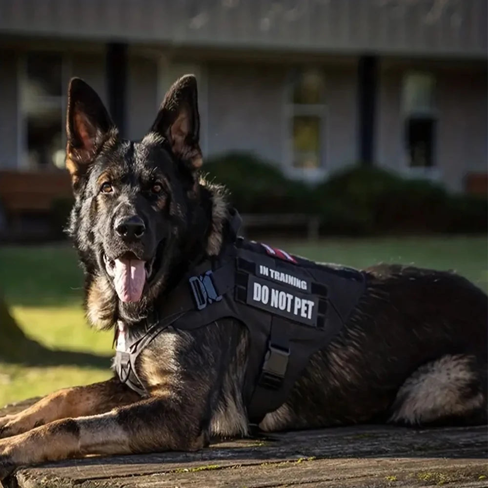K9 Command Pro Set