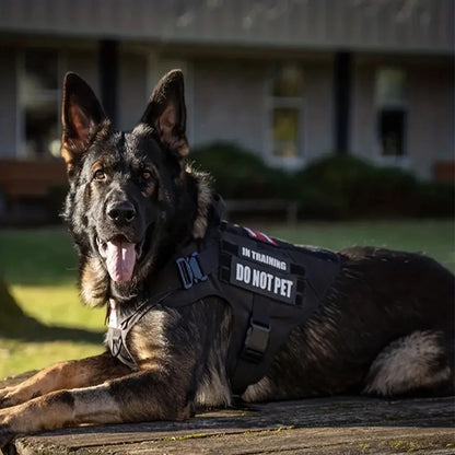 K9 Command Pro Set