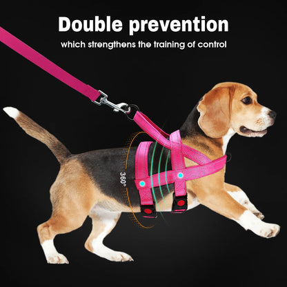 PawTrek Pro Harness