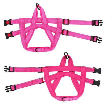 PawTrek Pro Harness