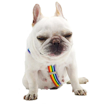 PrideStripes Pup Suspenders
