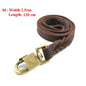 PawCommand Luxe Leather Harness/Leash