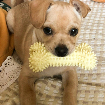 ChompChamps Knot 'n' Play