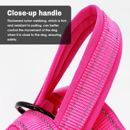 PawTrek Pro Harness