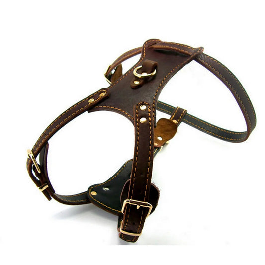 PawCommand Luxe Leather Harness/Leash