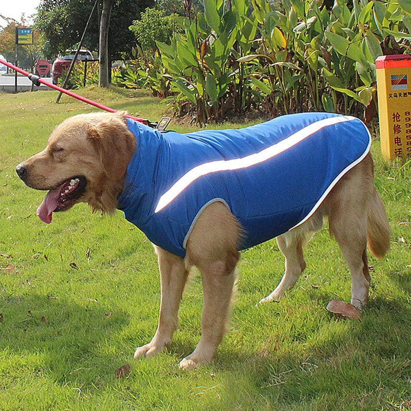 GlowHound WindGuard Jacket