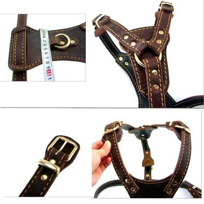 PawCommand Luxe Leather Harness/Leash