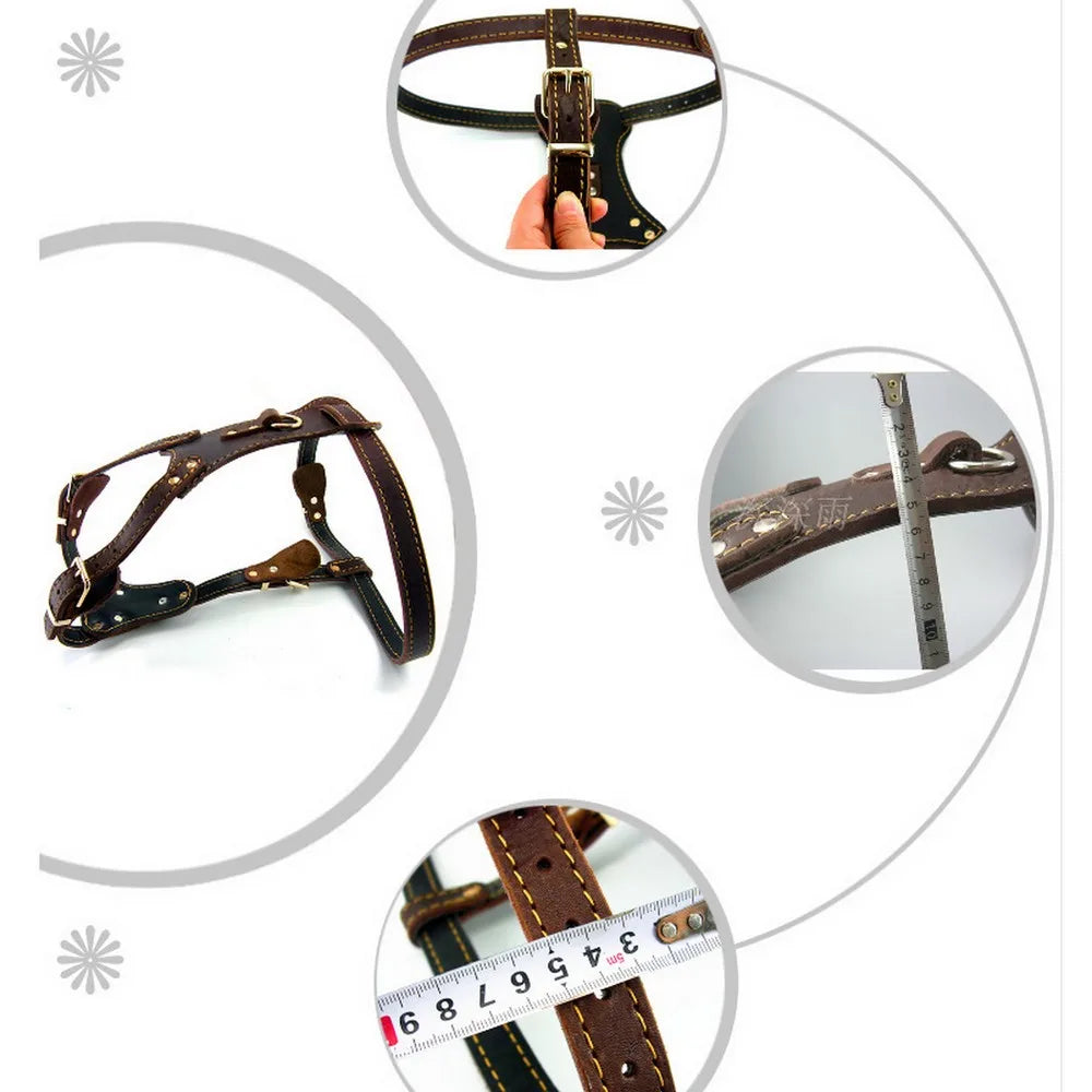 PawCommand Luxe Leather Harness/Leash