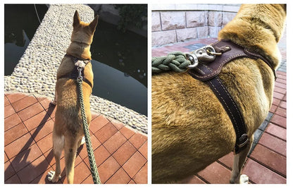 PawCommand Luxe Leather Harness/Leash