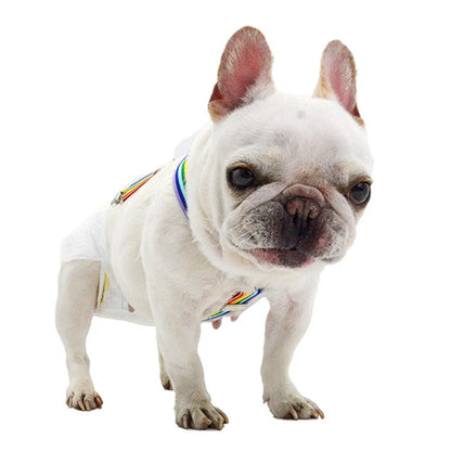 PrideStripes Pup Suspenders