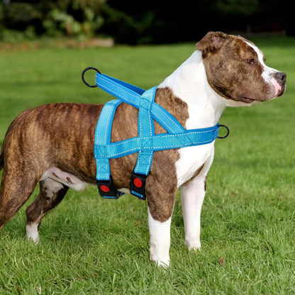 PawTrek Pro Harness