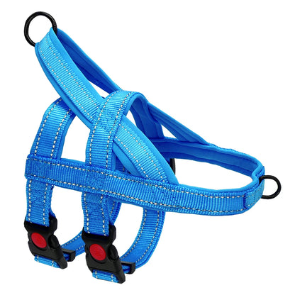 PawTrek Pro Harness