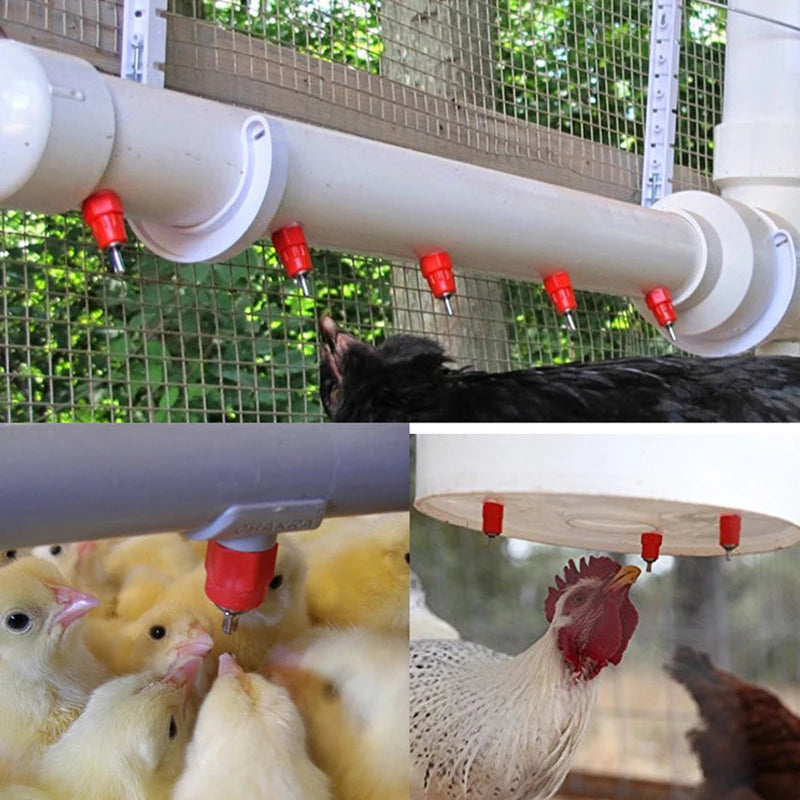 AquaPeck Poultry Sipper Nipples
