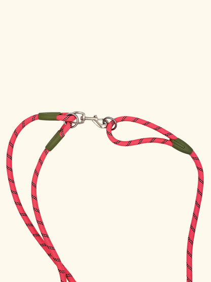 ZoomPup Reflective Hands-Free Dog Leash