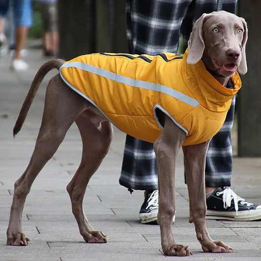 GlowHound WindGuard Jacket
