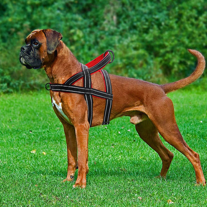PawTrek Pro Harness