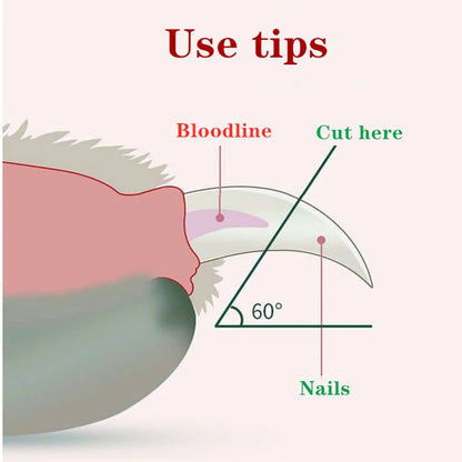 Shine & Snip Nail Clippers
