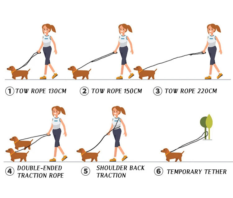 ZoomPup Reflective Hands-Free Dog Leash
