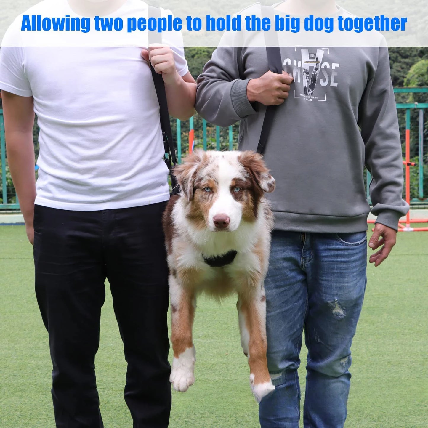 PawLift Support Sling