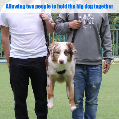 PawLift Support Sling