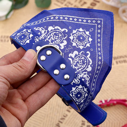 Wag & Whisker Scarf Collar