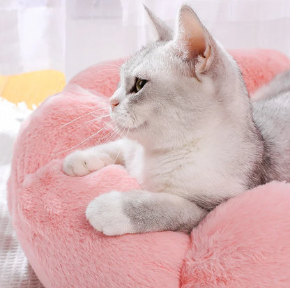 BloomNap Flower Pet Bed