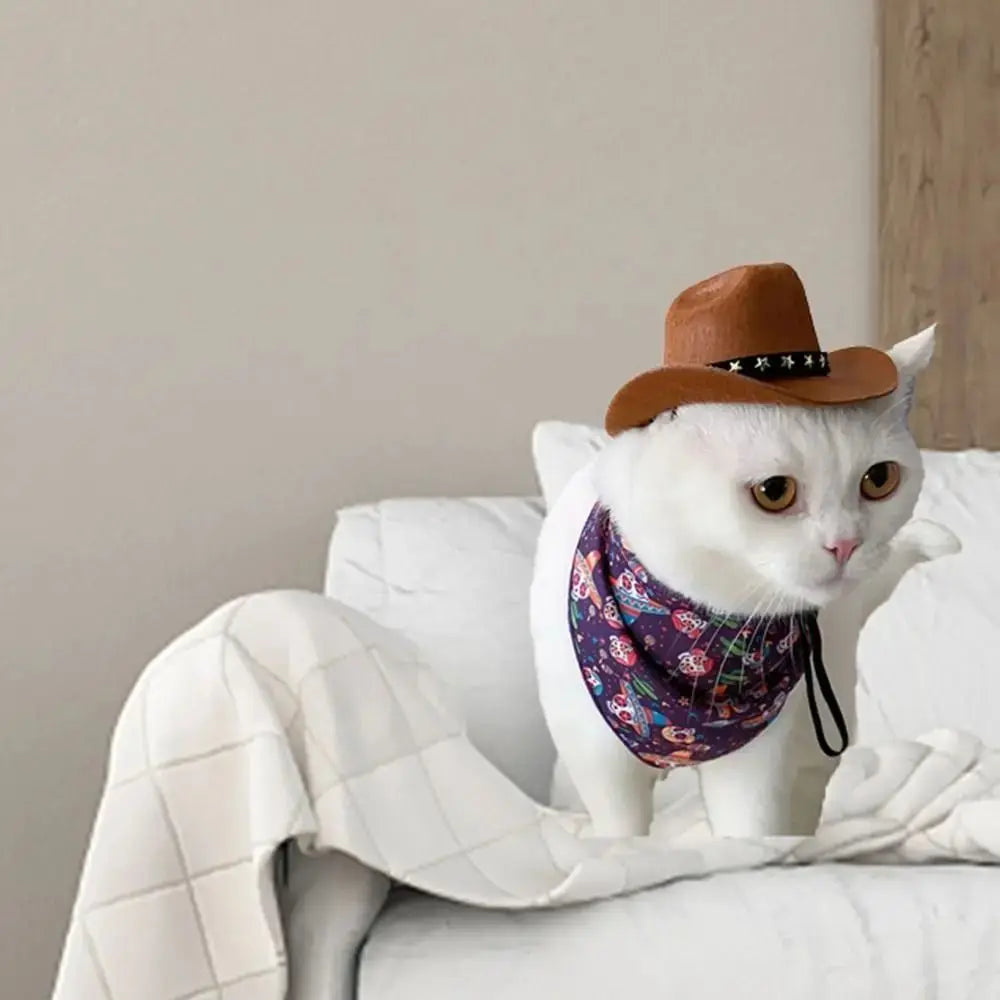 YeePaw Pet Cowboy Hat