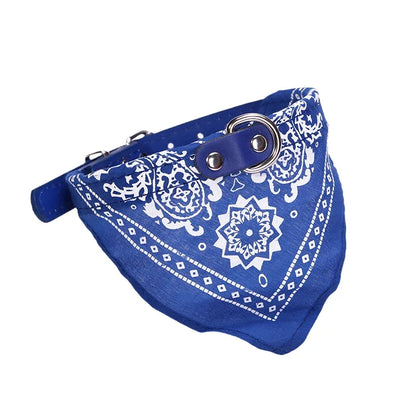 Wag & Whisker Scarf Collar