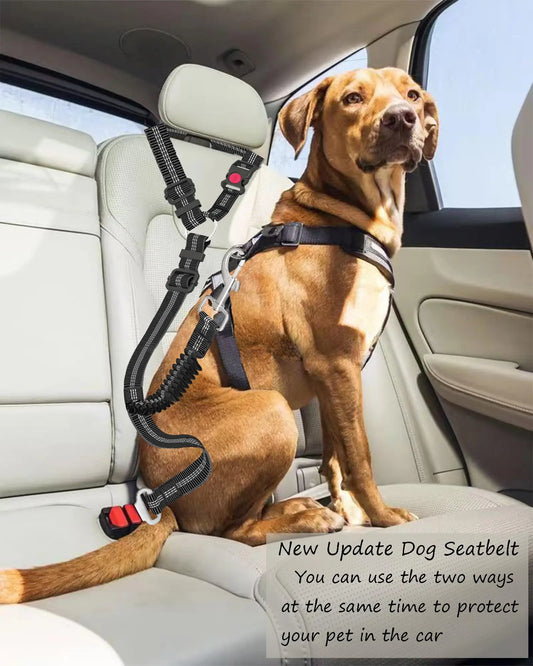 Bark & Buckle Ride Safe Dog Seat Belt
