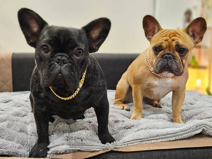 Bark & Bling™ Cuban Luxe Collar