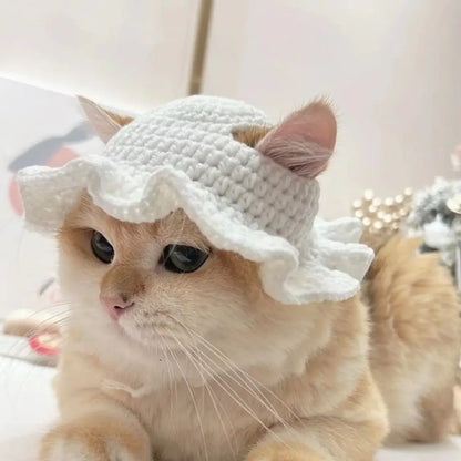 Meowdorable Knit Cosplay Hat