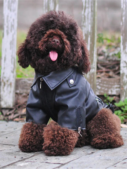 RebelTail Eagle Rider Jacket